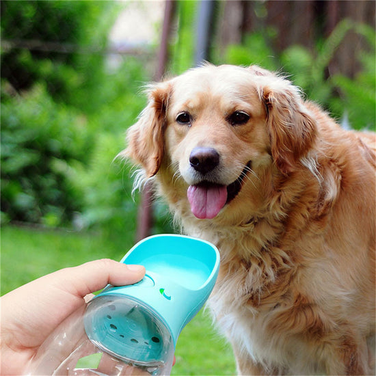 Portable Pet Water Bottle  Outdoor Travel Drinking Cup for Dogs & Cats