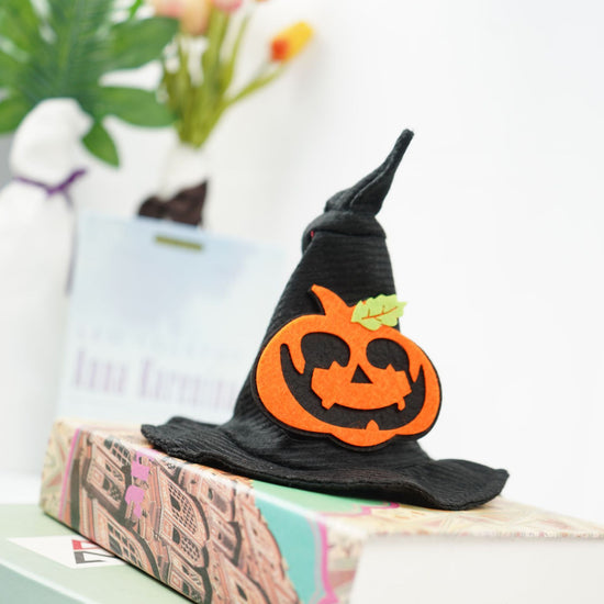 Transform into Magic Halloween Costume Fun Pet Outfit for Spooky Season